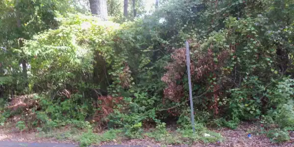LOT#25 SECOND STREET