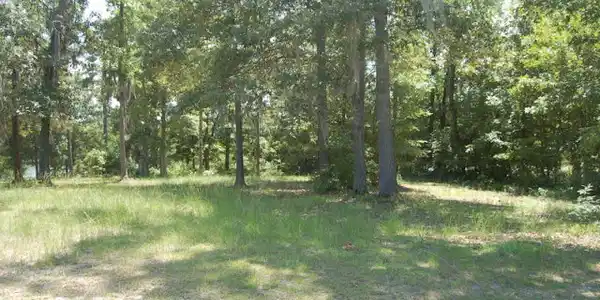 69 Ridge Lake Dr (B-17)