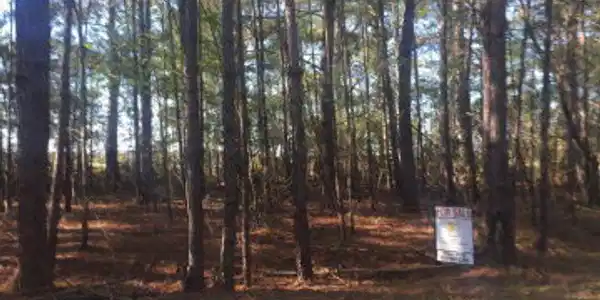Lot 37 Quail Path Road