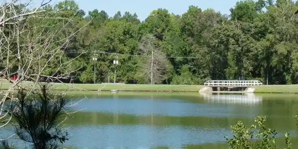 31 Plantation Drive