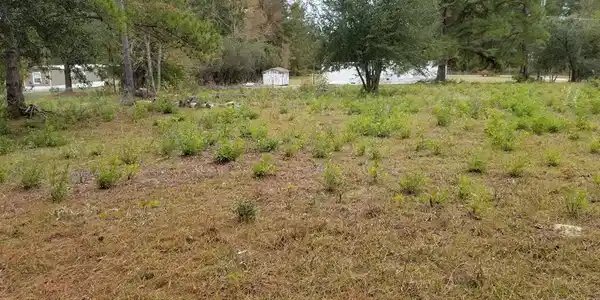 1000 Bales