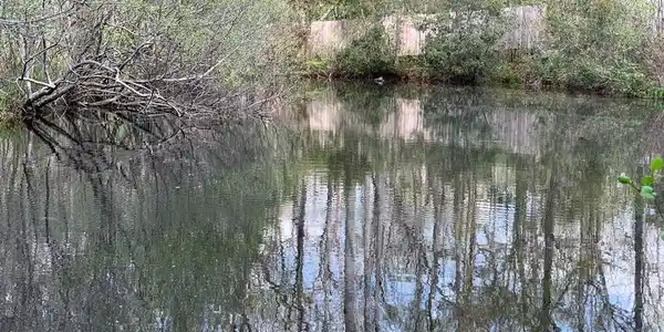 140 Edisto Dr.