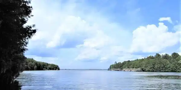 Lot 6 Red Cypress Landing