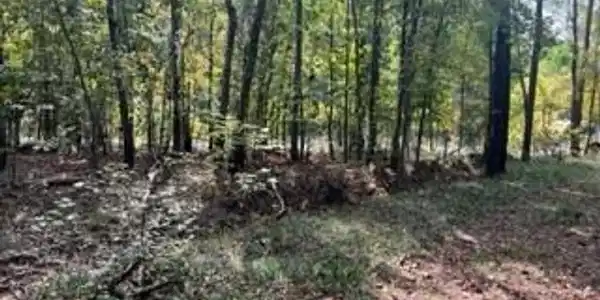 1104 CREEKSIDE DR