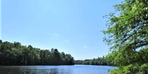 Lot 6 Poplar Creek Dr