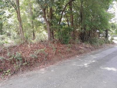 0 E Macs Landing Road
