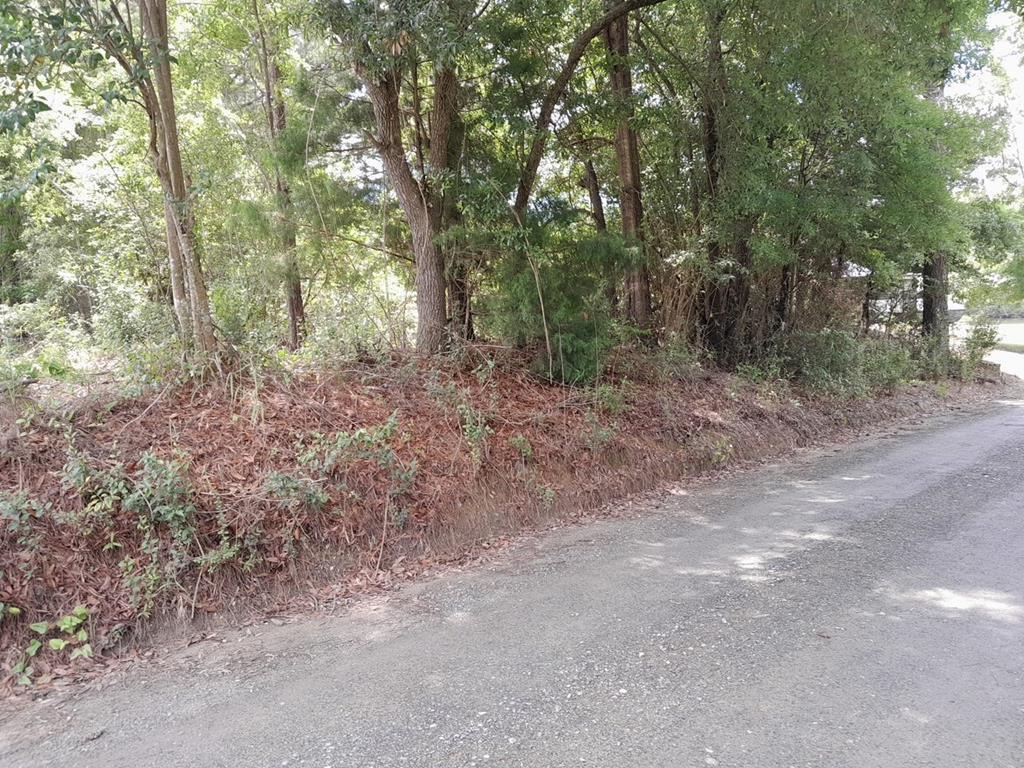 Image 1: Main View
