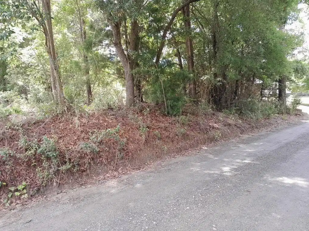 Image 1: Main View