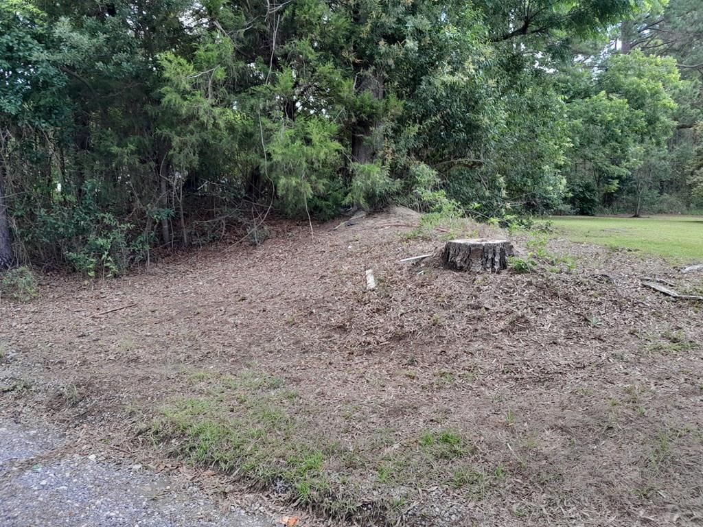 Image 2: Photo 2
