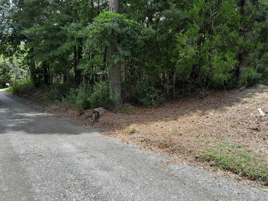 Image 3: Photo 3