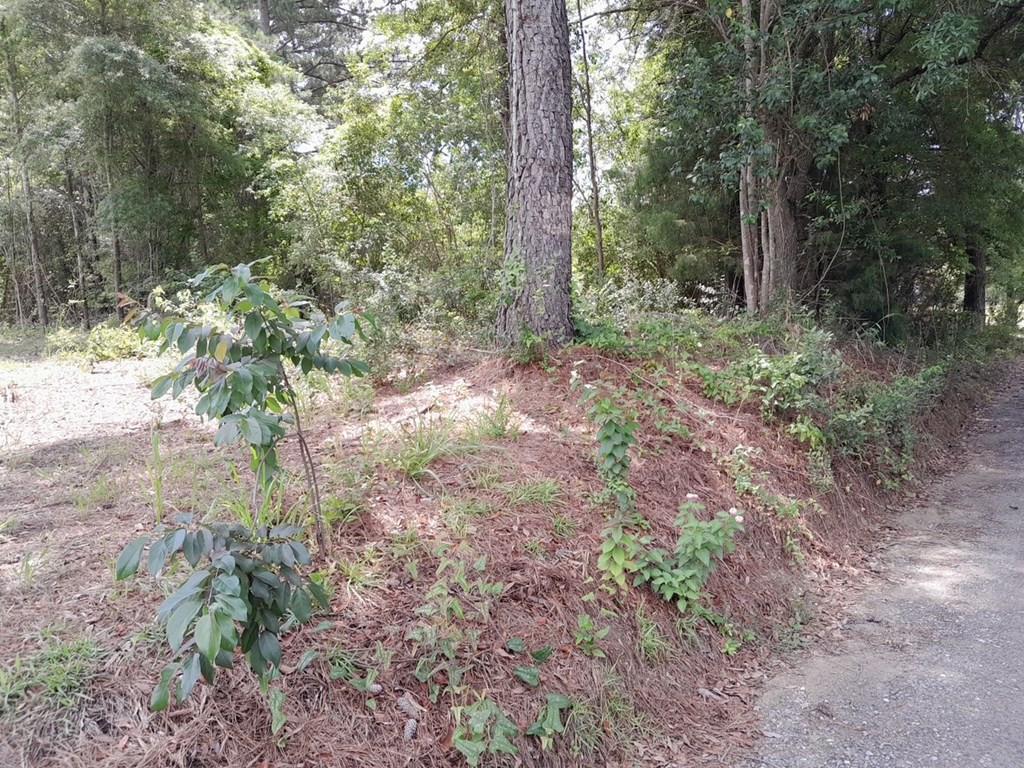 Image 4: Photo 4