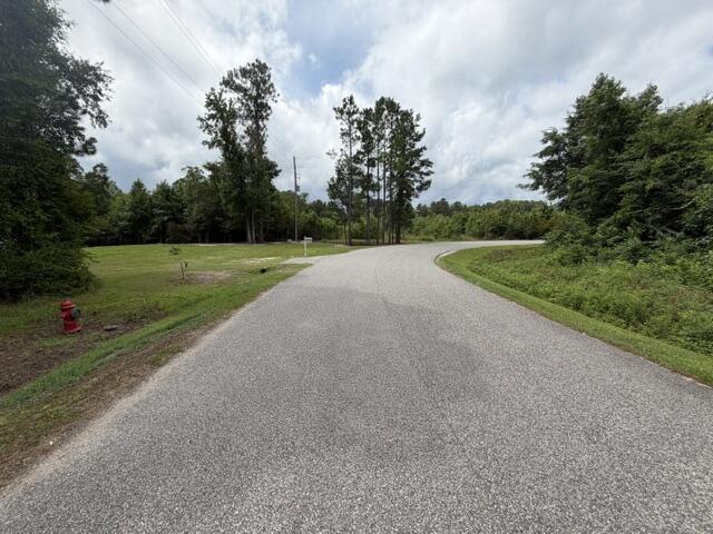 Image 3: IMG_5965