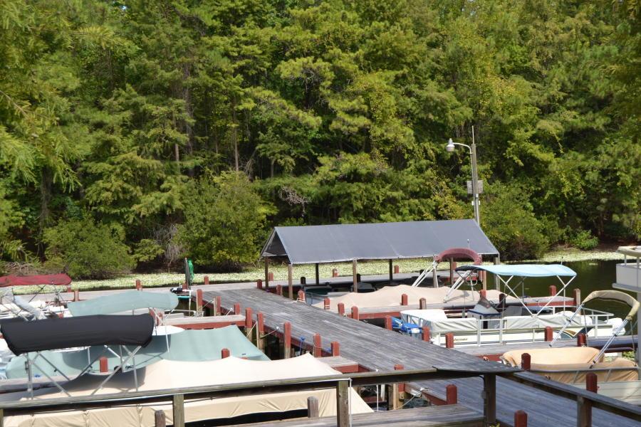 Image 3: Santee Cooper Resort Marina