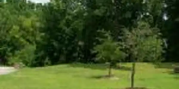 106 Broad River RD