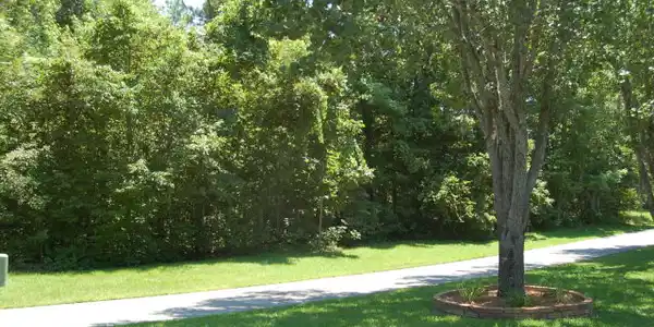 32 RIDGE LAKE DR. (B-36)