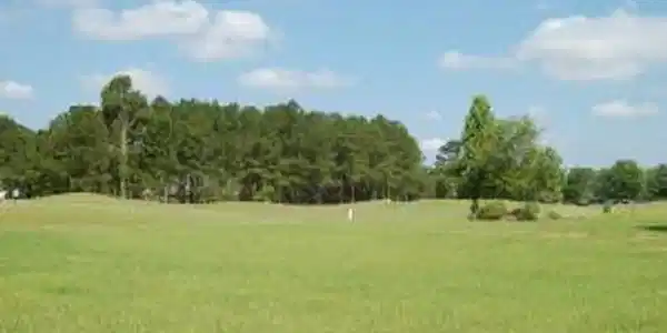 301 Plantation Dr. (A-94)
