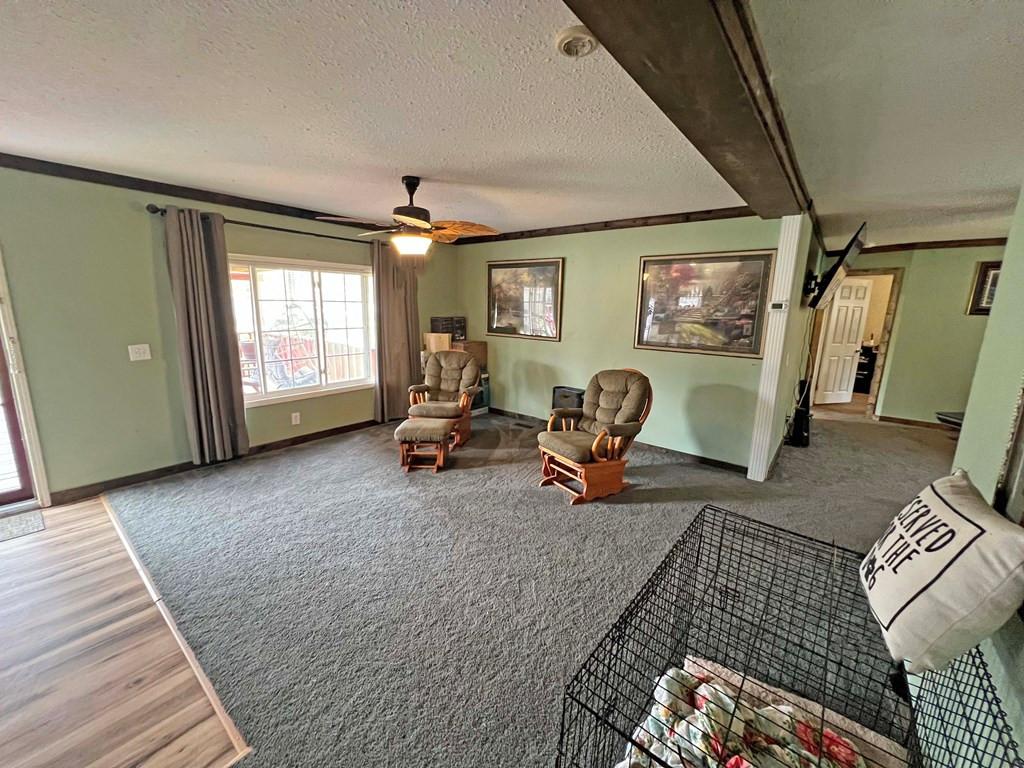 Image 4: Photo 4