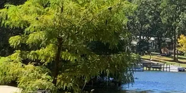Lot #18A Patriot Rd