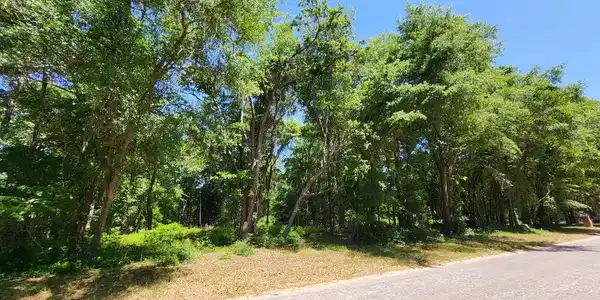 Lot 20 Francis Marion Blvd