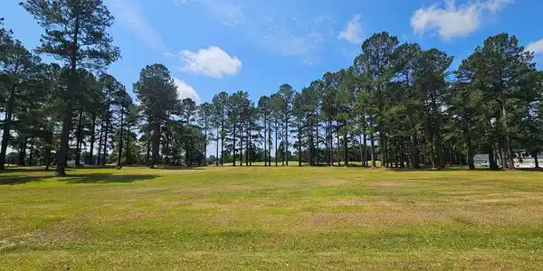 423 Pinelake Court