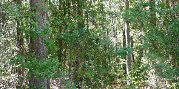 1040 Deer Trail