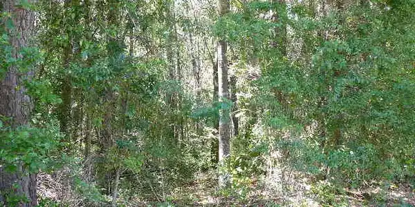 Lot 5 Woodduck Lane