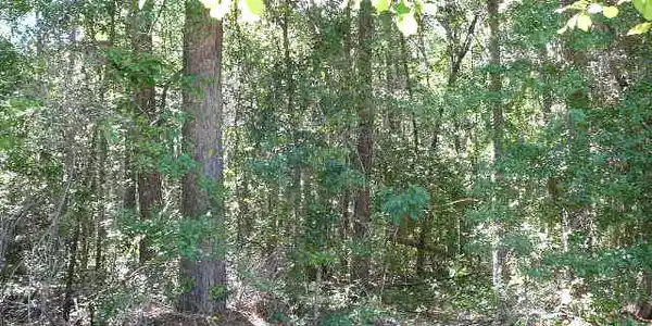 Lot 7 Woodduck Lane