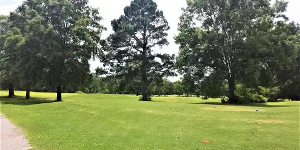 Lot 95 Corner Fishing Place & Golfing Dr