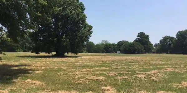 TBD Fishing Place
