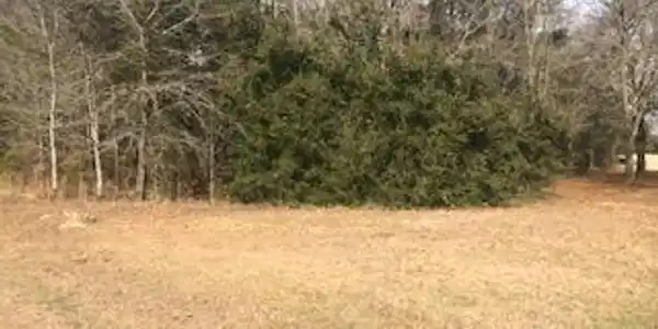 TBD White Oak / Players Course Dr.