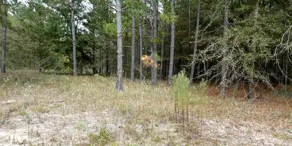 Lot 35 Cheyenne Court