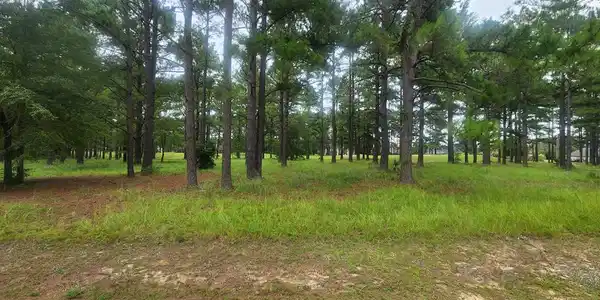 428 Pinelake Court