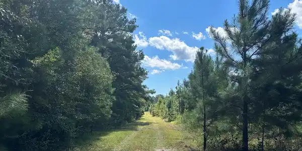 TBT Early Bird Rd