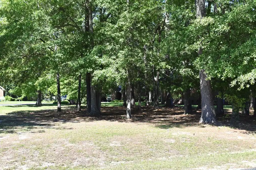 Image 1: Main View