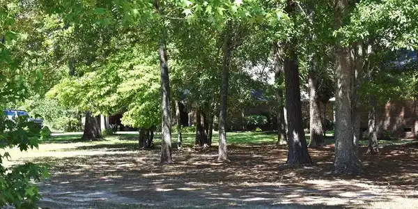 Image 2: Photo 2