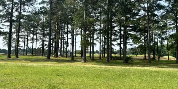 421 Pinelake Court