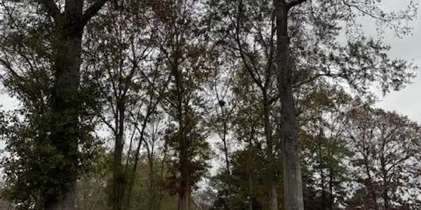 254 Ridge Lake Drive