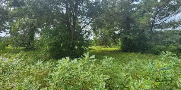 Image 2: 20260821_120202