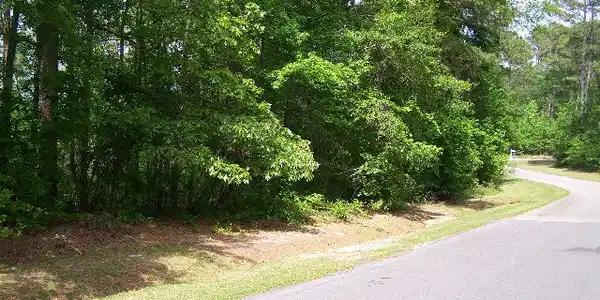 Lot 42 Plantation Drive