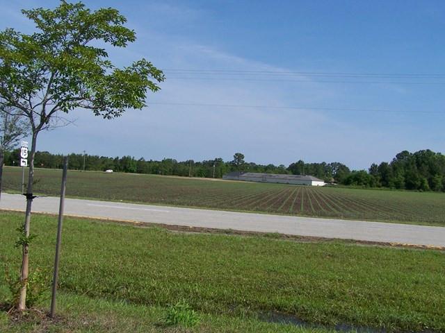 Image 2: Photo 2
