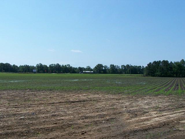 Image 4: Photo 4