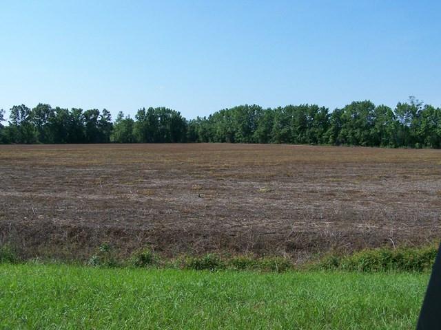 Image 1: Main View