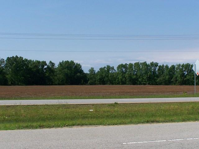 Image 2: Photo 2