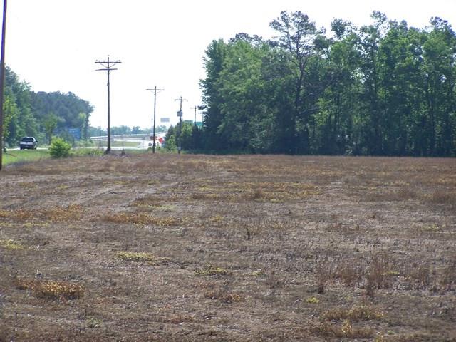 Image 4: Photo 4