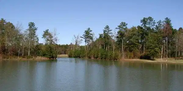 27 Poplar Creek Drive