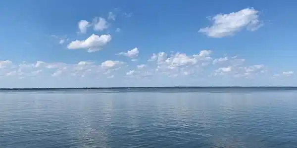 Lot 1A Lake Marion Lane