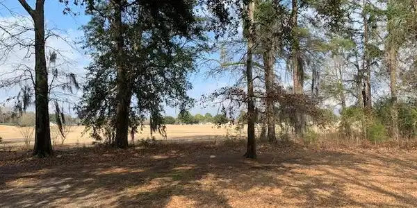 609 Fern Oak Court(Lot 16)
