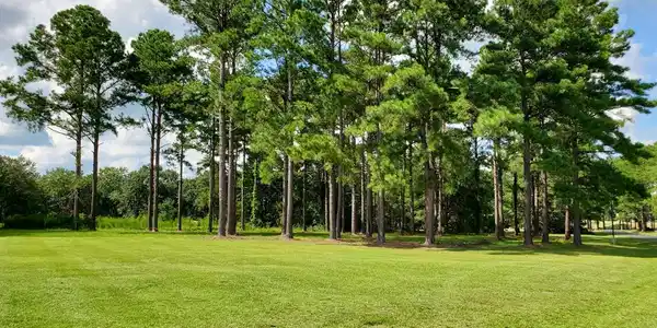 403 Pine Lake Court