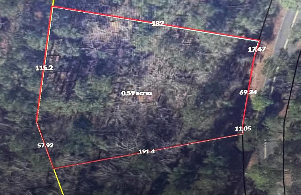 TBD Lot 243 Kenwood Rd, Manning, SC lhrmls01867549