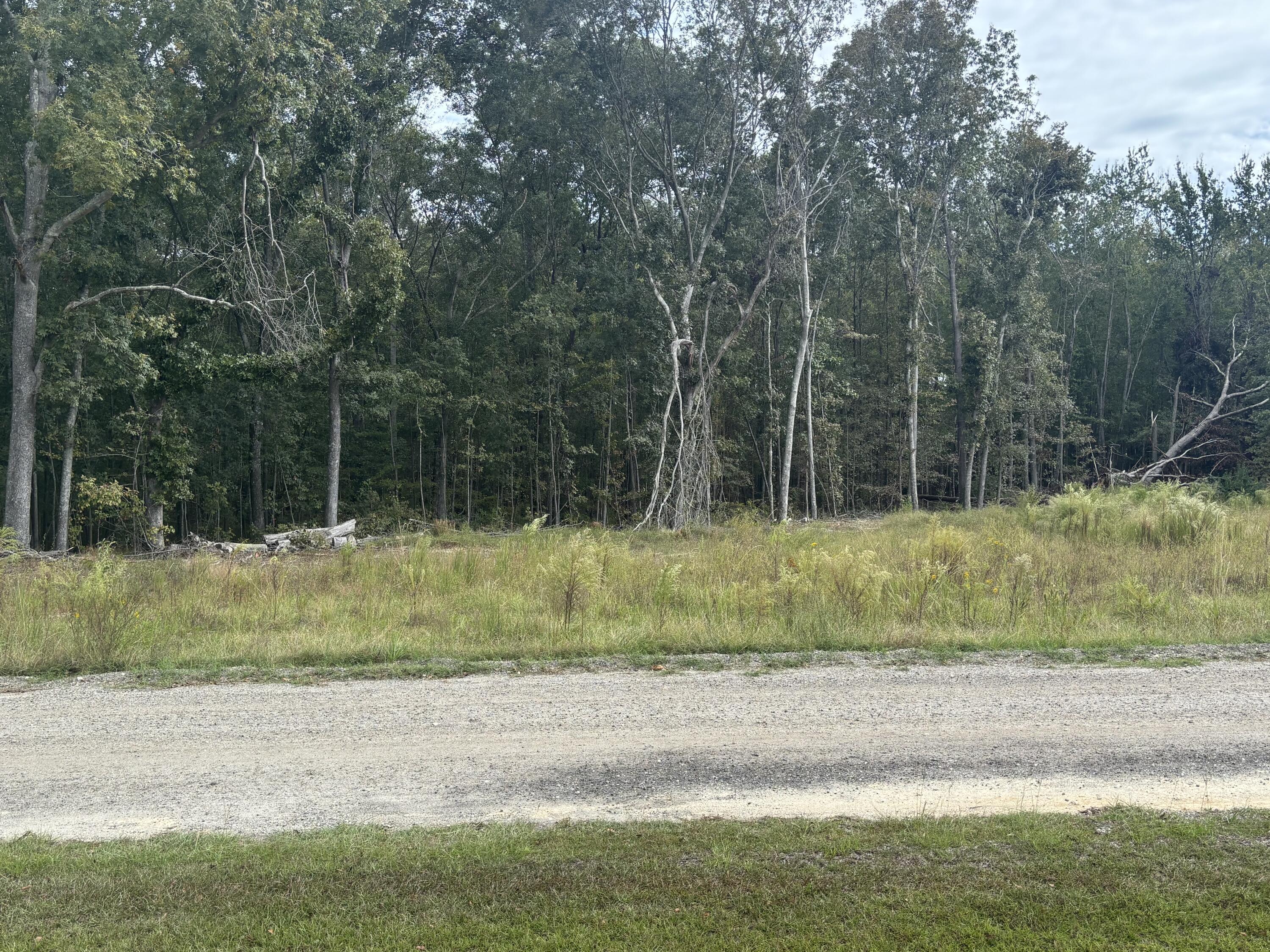 Image 3: IMG_4923